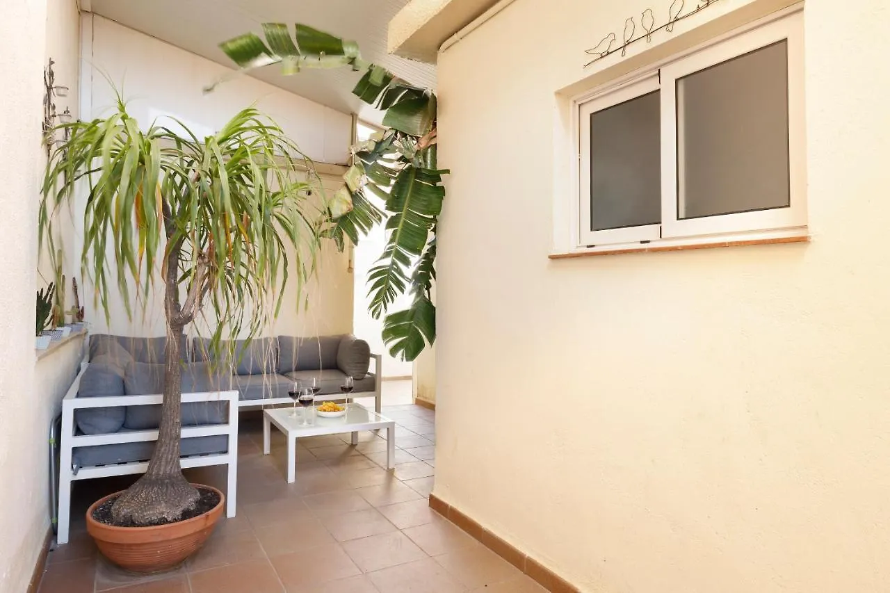 Barcelona Sunny Terrace Apartamento L'Hospitalet de Llobregat Quarto em Acomodações Particulares